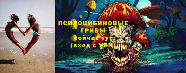 эйфоретик Алзамай